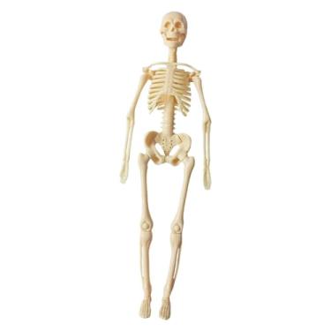 Imagem de Generic Suporte de Aprendizagem, Modelo de Corpo Humano, Ferramenta de Demonstração, Brinquedo de Aprendizagem com órgãos Removíveis para Crianças, Ferramenta, Esqueleto