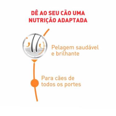 Imagem de Ração Cães Royal Canin Úmida Coat Beaut Sachê 85g