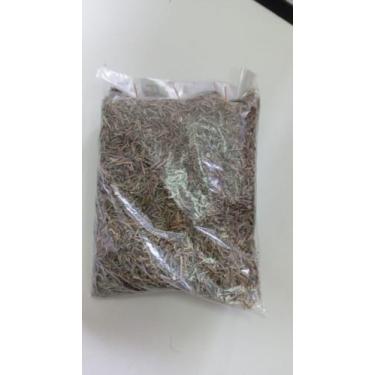 Imagem de Alecrim produto natural a partir de 100G