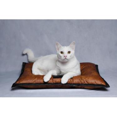 Imagem de Cama colchonete resistente e impermeável para   GATO PP  Rosa - Solo P