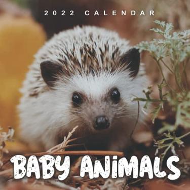 Imagem de Baby Animals 2022 Calendar: From January 2022 to December 2022 - Square Mini Calendar 8.5x8.5" - Small Gorgeous Non-Glossy Paper