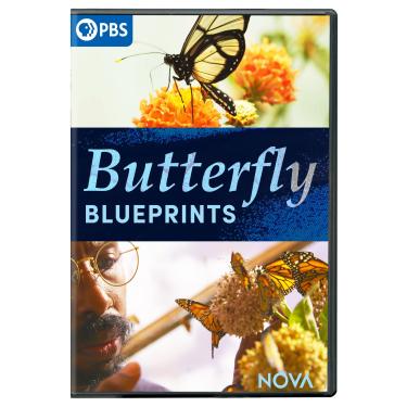 Imagem de NOVA: Butterfly Blueprints