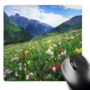 Imagem de 3dRose Mouse pad LLC 20 x 20 x 0,63 cm, Colorado Wildflower and Mountains (mp_53249_1)