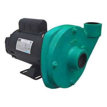 Imagem de Motobomba Centrífuga Monofásica He 15 Wdm 2cv Ip21 Motor Weg.