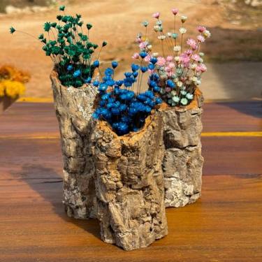 Imagem de Tronco Decorativo Rústico com Flores Sempre Vivas, 25 cm, Casca Natural, Arranjo Artesanal para Decoração (TRONCO-KIT-02)