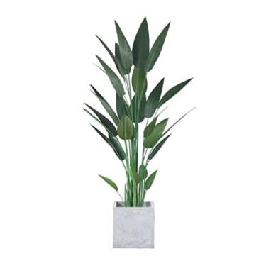 Imagem de Plantas falsas, planta artificial, árvore artificial, vaso artificial, sala de estar, interior, planta artificial, festa, escritório, moda, arte, decoração, plantas artificiais, interior, exterior