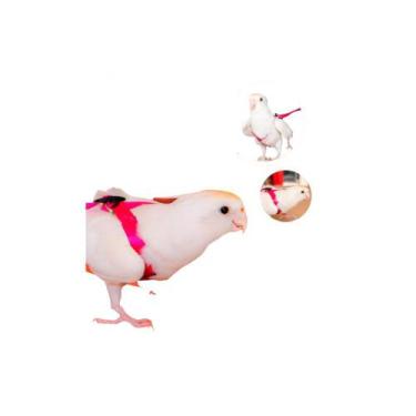 Imagem de Guia e Peitoral Para Calopsita Morapet H, Laranja