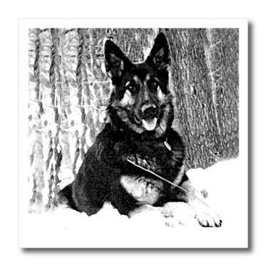 Imagem de 3dRose Pastor alemão ht_243_1, transferência de calor a ferro, 20 x 20 cm, multicolorido