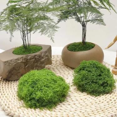 Imagem de Vida Eterna Grama Musgo Plantas Verdes Artificiais Mini Paisagem Grama Falsa Jardim Sala de Estar Decoração de Casa Artesanato DIY (30 g)