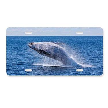 Imagem de DIYthinker Placa de carro de aço inoxidável para decoração de carro com imagem da natureza do oceano jubarte