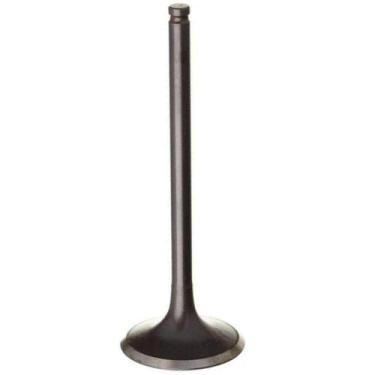 Imagem de Valvula do Motor BIZ 100 DREAM 100 POP 100 - Admissão - Loja Duas Roda