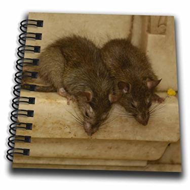 Imagem de 3dRose db_75457_3 Templo Karni MATA, Deshnoke Rajasthan, INDIA-AS10 POX0406-Pete Oxford Mini Notepad, 10 x 10 cm