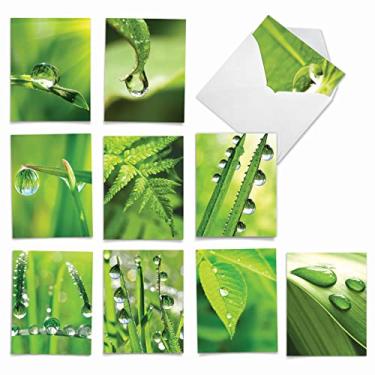 Imagem de The Best Card Company - 10 cartões de notas a granel para todas as ocasiões (10 x 13 cm) - Conjunto de cartões variados em branco, plantas naturais e jardins - Just Dew It M2015