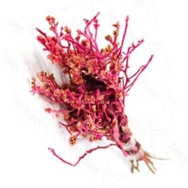 Imagem de Dedo De Anjo Flor Desidratada Buque Flores Secas - Pense Flores, Pink