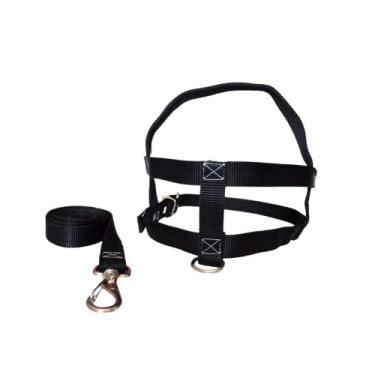 Imagem de MY PET BRASIL Peitoral Para Cachorros N°0 Ajuste Fácil No Corpo Do Pet Nylon Coleira Peitoral Regulável Confortável E Resistente Preto