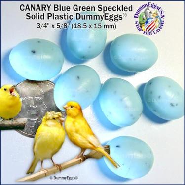 Imagem de DummyEggs Ovos falsos canários param de deitar! Ovos falsos de plástico premium sólido não tóxico realistas. Plástico azul verde salpicado, seguro para pássaros, não pintado. 11/16" x 1/2" colocado nos EUA
