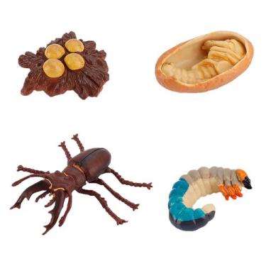 Imagem de Figura do inseto de 4 partes ninhada plástica do ciclo de vida animal 