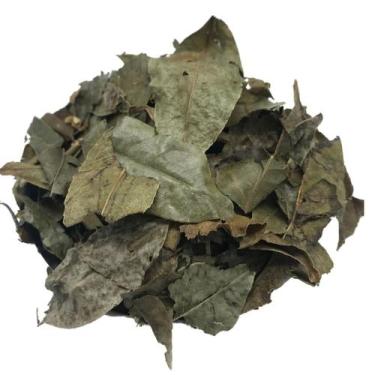 Imagem de Guaçatonga 250g (Erva Desidratada) - Magnata das Ervas