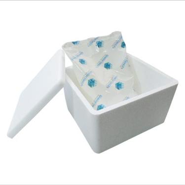 Imagem de Kit Caixa Isopor 1,5L Litro 1 Gelo Flexível 500g Parede Simples - Gelo