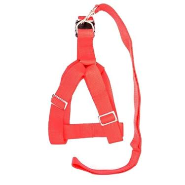 Imagem de Peitoral Grande com Guia e Mosquetão Alumínio (Vermelho)