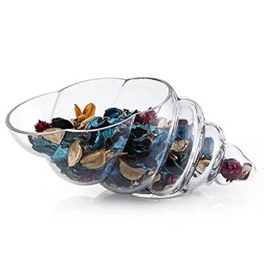 Imagem de MDLUU Vaso de concha de vidro, suporte de concha de 28 cm, tigela decorativa grande para exibição de coleção de conchas, vidro marinho, planta aérea