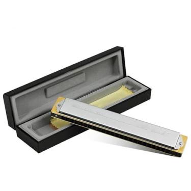 Imagem de Gaita Profissional 24 Furos Tremolo Harmonica Polifonia Diatônica Chave C Prata (A)