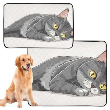 Imagem de Almofadas de xixi, lavável, impermeável, tapete de cercadinho para cães, cinza, deitado, engraçado, reutilizável para animais de estimação, absorvente para cães, treinamento de penico, pequeno x