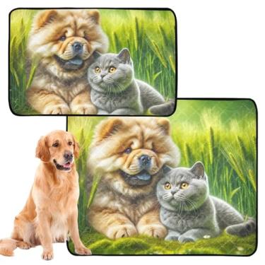 Imagem de Cute Chow Chow Tapetes laváveis para cães e gatos para animais de estimação, à prova d'água, tapete reutilizável para cães e gatos, absorventes para treinamento de filhotes, médio + grande, conjunto