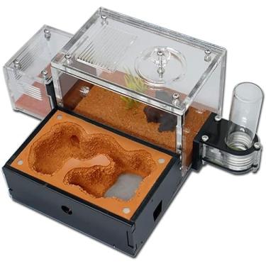 Imagem de Fazenda de formigas acrílicas Ninho de formiga Solo amarelo Casa de formiga Rainha Área de reprodução Formigueiro Castelo Caixa de insetos Formicarium para observar habitat de formigas vivas