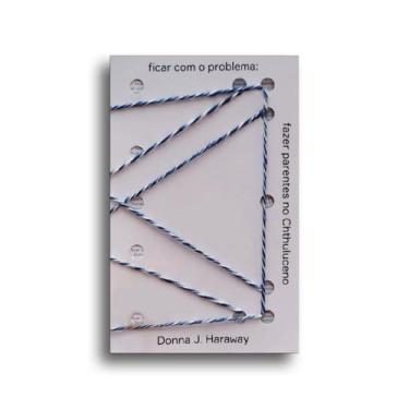 Imagem de Livro - Ficar com o problema