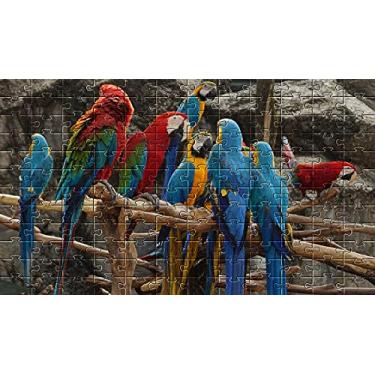 Imagem de Kit 4 Quebra-Cabeça Cognitivo Reabilitação para Idosos - Araras - 60 peças