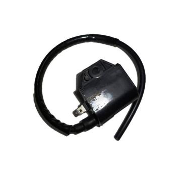 Imagem de Bobina de ignição cdi scooter fifty 50 2002 pgo sundown