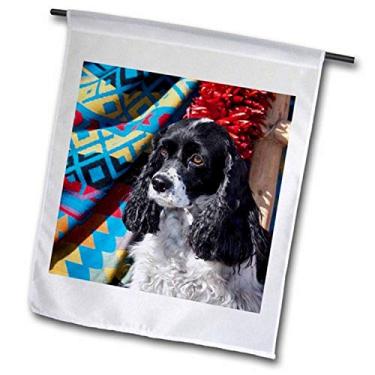 Imagem de 3dRose fl_145325_2 Cachorro Cocker Spaniel no sudoeste US32 ZMU0075 Bandeira de jardim, 45 x 68 cm