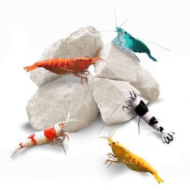 Imagem de SunGrow Rochas de Camarão, para Lagostim, Caranguejo Eremita, Caracóis, Vermelho Cristal, Amano e Camarões Fantasma, 60 g