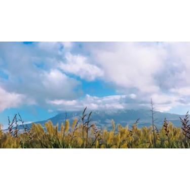 Imagem de Quadro Decorativo com Estampa Plants Growing Field Againstsky 50 x 50 Papel 2 unidades