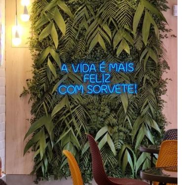 Imagem de Jardim Vertical Muro Inglês Variado Preservado Desidratado - Natural H