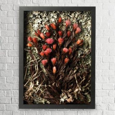 Imagem de Arranjo no Quadro Flores Secas Arapuama 30x42 - Pense Flores
