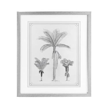 Imagem de Stupell Industries Impressão emoldurada cinza de esboços de trio de palmeiras sob vidro, design por Lettered and Lined, 21 x 17