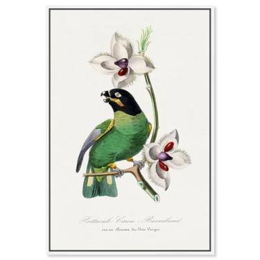 Imagem de Art Remedy Tela de impressões botânicas, 25,4 cm x 38,1 cm, moldura branca, periquito anelado rosa 1842