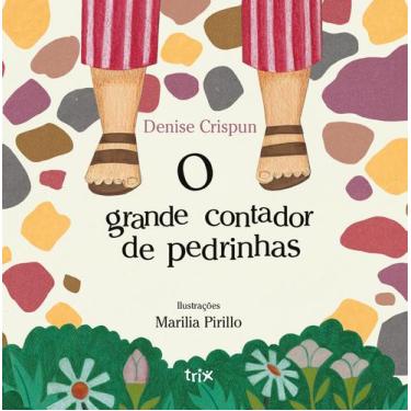 Imagem de Livro - O grande contador de pedrinhas