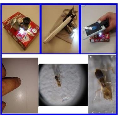 Imagem de Lupa Conta Fios 60x para uso manual ou com celular, possui leds branco