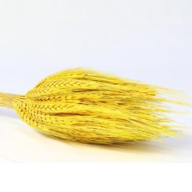 Imagem de Buque de Flores Secas Trigo Variado - Pense Flores, Amarelo