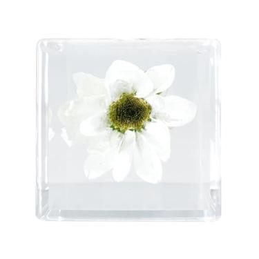 Imagem de Bon Cube Mini cubo de resina acessório de mesa flor real – planta em resina com margarida branca verdadeira, decoração de mesa para mulheres, pequeno 1,58" (82,2 g), opção leve de peso de papel