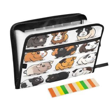 Imagem de CEBUGI Pasta expansível com 13 bolsos, organizador de arquivos sanfonado à prova d'água com etiquetas tamanho A4, organizador de documentos de papel para escola, material de escritório