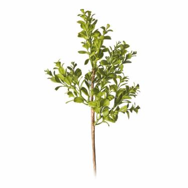 Imagem de Galho Folhas Verde 40x10x10 1693271