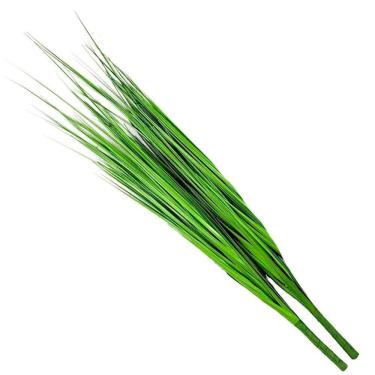 Imagem de Kit 4 Folhagens Capim Verde Artificial 78cm
