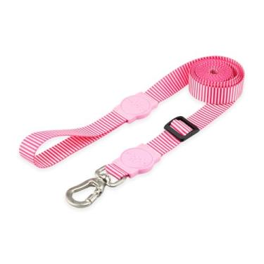 Imagem de Mood Pet Coleira Guia Retrátil Para Cães Cachorro Adestramento Passeio Porte Grande Médio Pequeno (Queens, M)