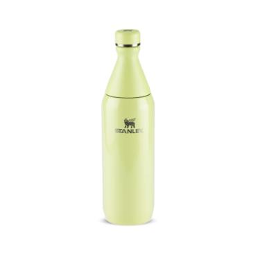 Imagem de Stanley - Garrafa térmica Slim Bottle para água e bebidas frias, colarinho removível para adicionar gelo, à prova de vazamentos, aço inoxidável, 591 ml, Ash Gloss