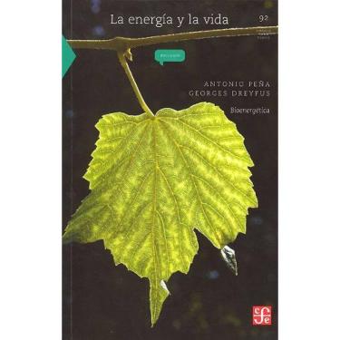 Imagem de La Energia Y La Vida Bioenergetica