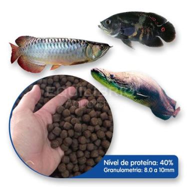 Imagem de Ração P/ Peixes Carnívoros Pirarucu, Aruana E Outros (10mm) - 500g - S